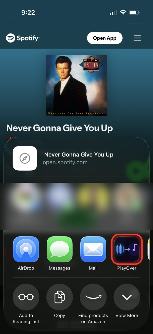iOS Share Sheet showing PlayOver as a share option